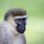 畅享免费电影网站在线观看天堂,尽情体验无广告电影盛宴 05b1d62