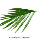 精选2023年最受欢迎的生日礼物推荐给女生 0e175e82m2