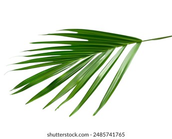 精选2023年最受欢迎的生日礼物推荐给女生