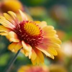 畅享免费漫画在线观看,尽情阅读海量精彩漫画 0tg9hc