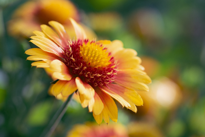 畅享免费漫画在线观看，尽情阅读海量精彩漫画