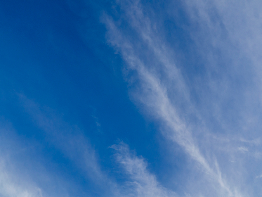 第九区电影在线观看：探索外星人与人类的奇幻故事