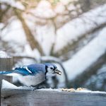 精彩纷呈的日漫韩漫大全:漫画爱好者的必备指南 1xemyxnu