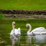 精彩的忍者神龟涂色页,释放你的创意与想象力 2qiw5xk5w