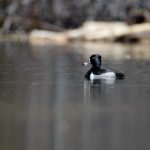 策驰影视:探索影视行业新趋势与创作灵感的无限可能 3d7mqa1