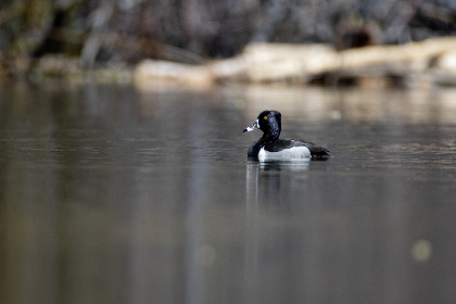 策驰影视：探索影视行业新趋势与创作灵感的无限可能