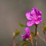 畅享八戒在线免费观看,尽情体验精彩内容 4nx169l92