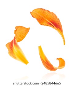 精美动漫美女动态电脑壁纸，点亮你的桌面