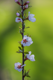 精选好看的小视频，带你领略生活中的美好瞬间