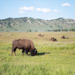 畅享便捷网络体验:好1232上网主页手机版全解析 brj16g0o21