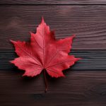 畅享免费看片子网页,海量影视资源一网打尽 c1zr3ect