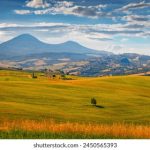 畅享免费网站在线观看高清版电视剧的最佳选择 dr306h0j2o