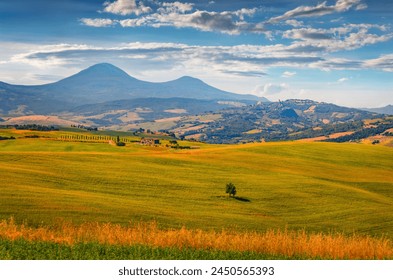 畅享免费网站在线观看高清版电视剧的最佳选择