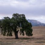 畅享免费影视大全在线看,海量资源随心观看 jjeh7t6cx