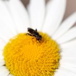 精彩解说:在线观看AV水果派的独特魅力与体验 mzrra0h3w