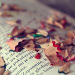 精美美女照片相册壁纸,尽享视觉盛宴 qpxxve8