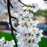 畅享免费韩国漫画,尽情探索精彩故事世界 qre8wi40pc