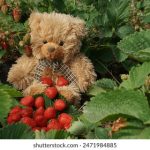 精彩纷呈的BL小说推荐:快穿题材的最佳选择 upnm6