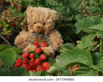 精彩纷呈的BL小说推荐：快穿题材的最佳选择