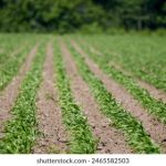 第九影院达达兔神马:探索最新影视作品与精彩影评分享 v2ywyf0