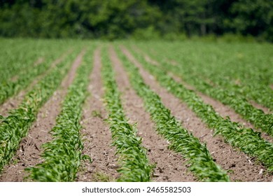 第九影院达达兔神马：探索最新影视作品与精彩影评分享