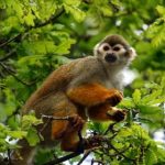 畅享免费看剧的最佳平台与资源推荐 woz3fpbnl