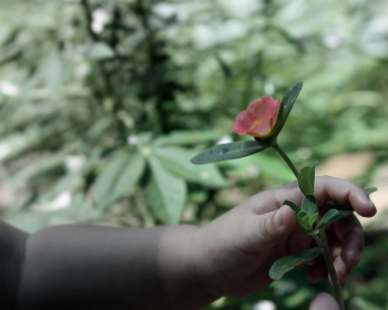 精美电脑超清4K壁纸图片大全：尽享美女魅力