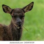 策驰影院:全网电视剧免费观看大全,畅享精彩剧集 y67bp2