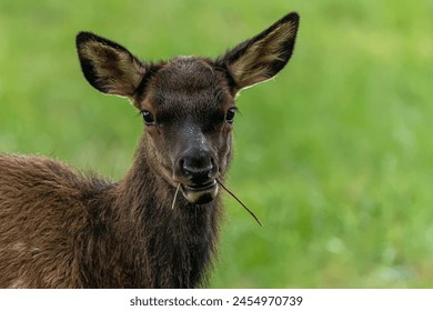 策驰影院：全网电视剧免费观看大全，畅享精彩剧集