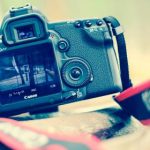 粉色情人:在浪漫与温柔中寻找爱的真谛 yp7c7brxe5